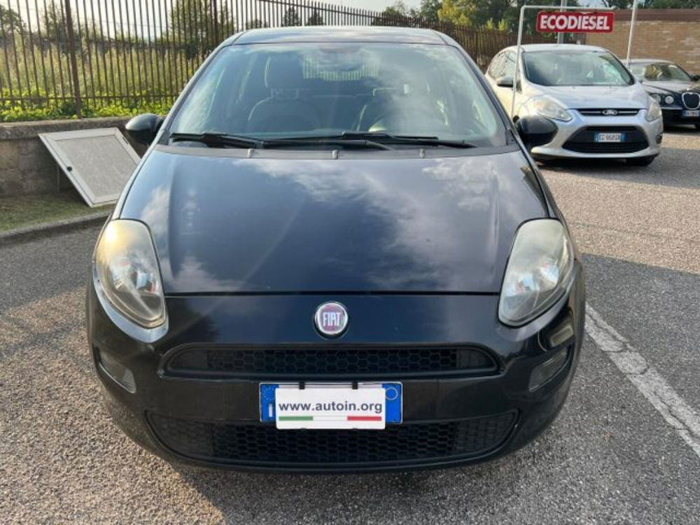 Fiat Punto Evo usata a Benevento (2)