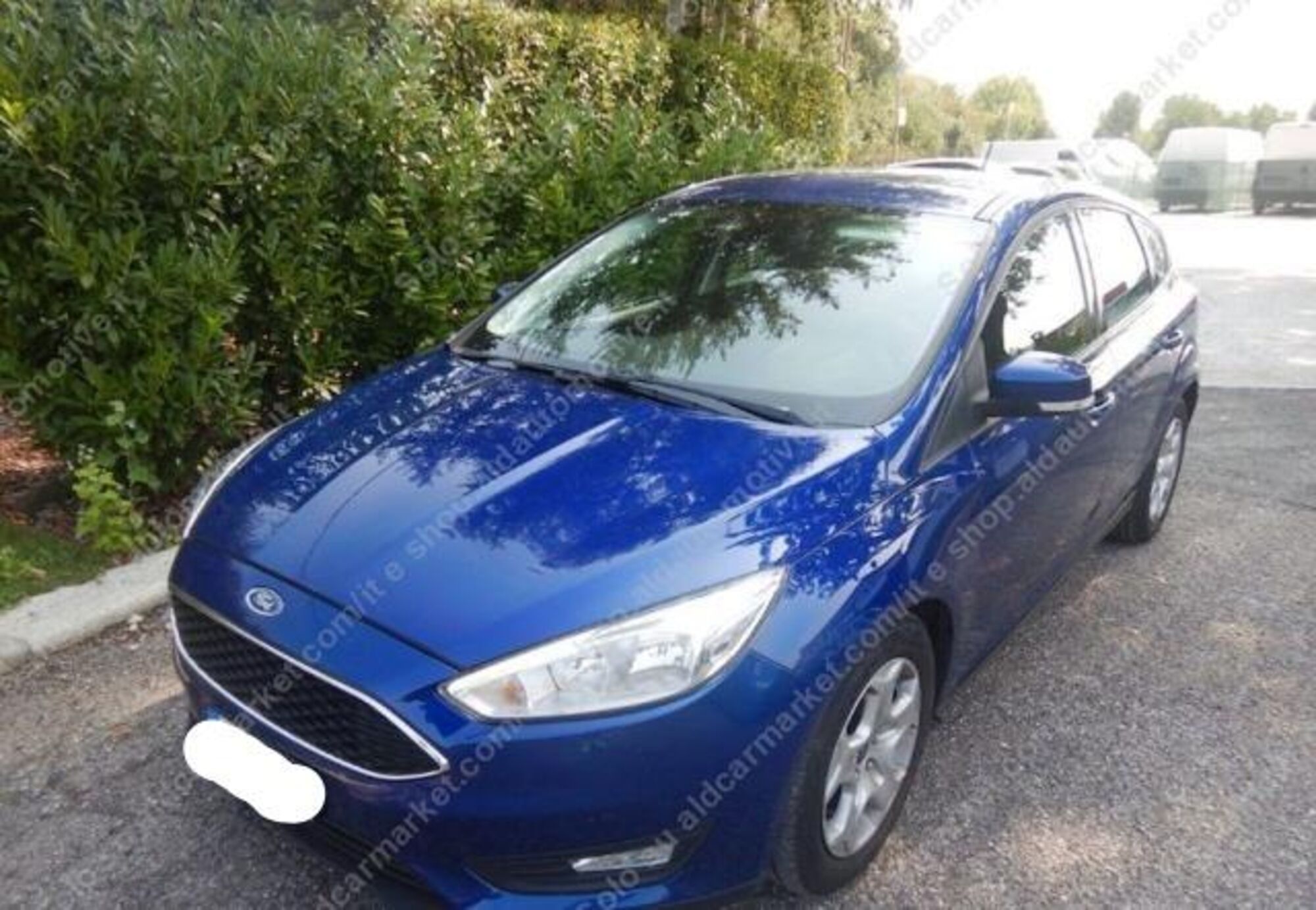 Ford Focus 1.5 TDCi 120 CV Start&amp;Stop Plus del 2016 usata a Tricase