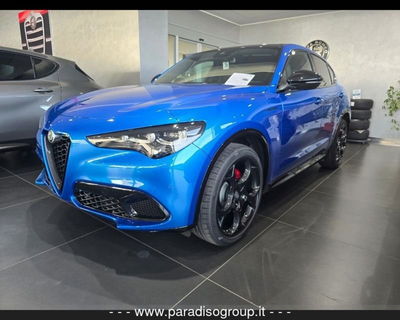 Alfa Romeo Stelvio Stelvio 2.2 Turbodiesel 150 CV AT8 RWD Super nuova a Lamezia Terme