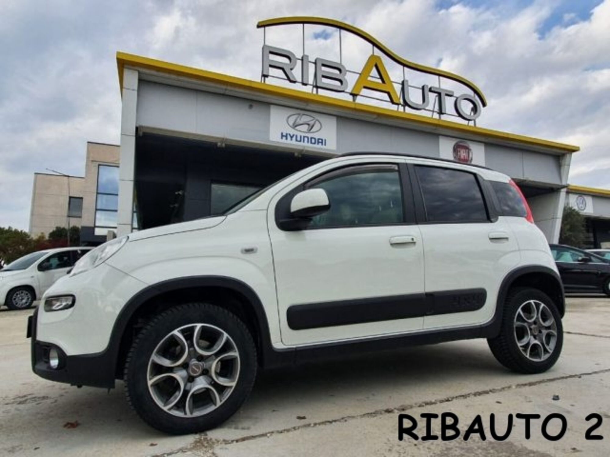 Fiat Panda 1.3 MJT 4x4 Van Active Trekking 2 posti del 2013 usata a Savigliano