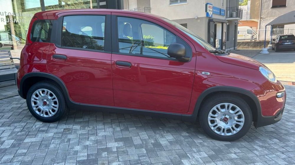 Fiat Panda nuova a Lecco (4)