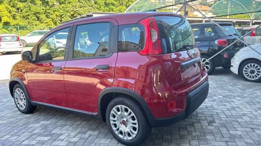 Fiat Panda nuova a Lecco (6)