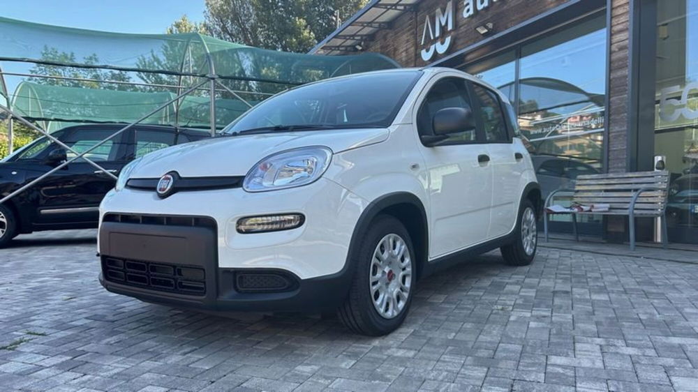 Fiat Panda Cross nuova a Lecco