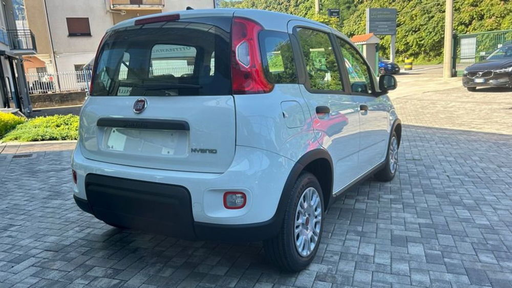 Fiat Panda Cross nuova a Lecco (4)