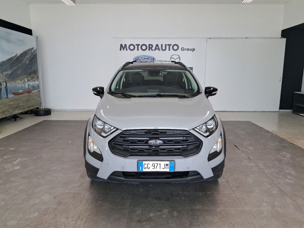 Ford EcoSport usata a Arezzo (2)