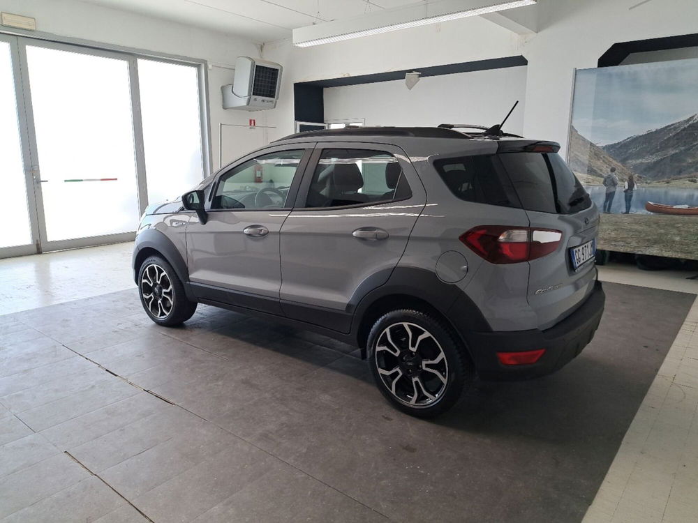 Ford EcoSport usata a Arezzo (4)