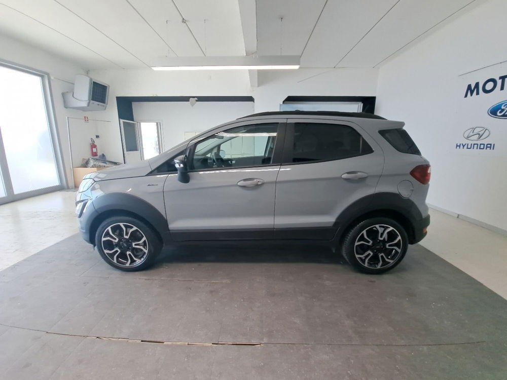 Ford EcoSport usata a Arezzo (8)