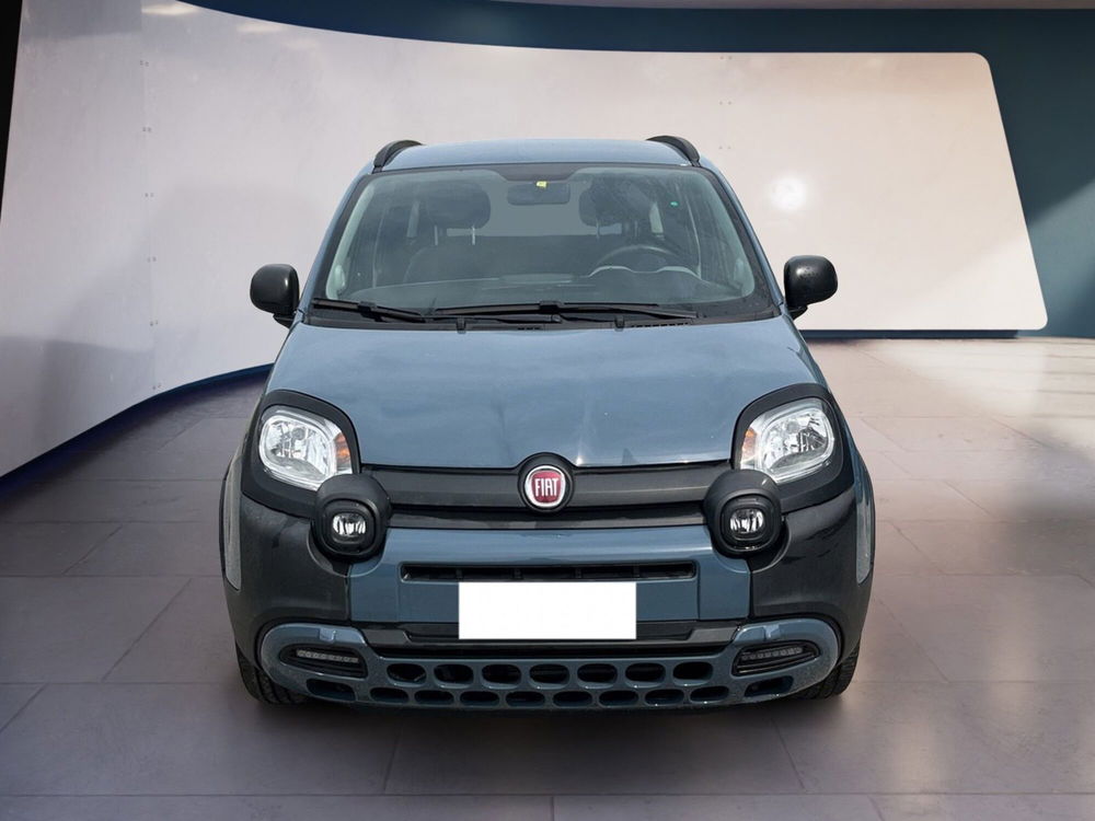 Fiat Panda Cross usata a Torino