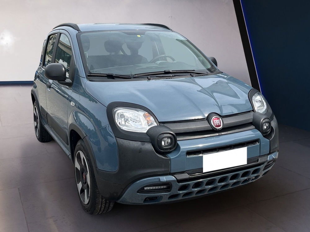 Fiat Panda Cross usata a Torino (2)