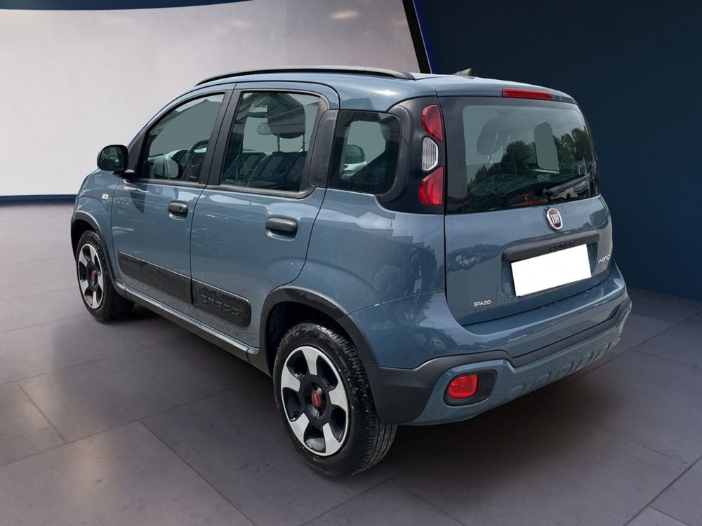 Fiat Panda Cross usata a Torino (4)