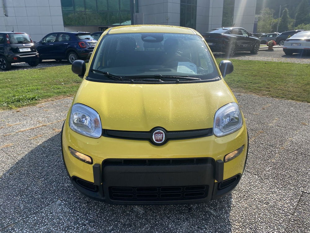 Fiat Panda Cross nuova a La Spezia (2)