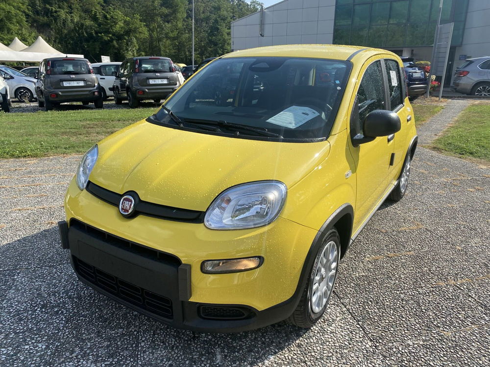 Fiat Panda Cross nuova a La Spezia (3)