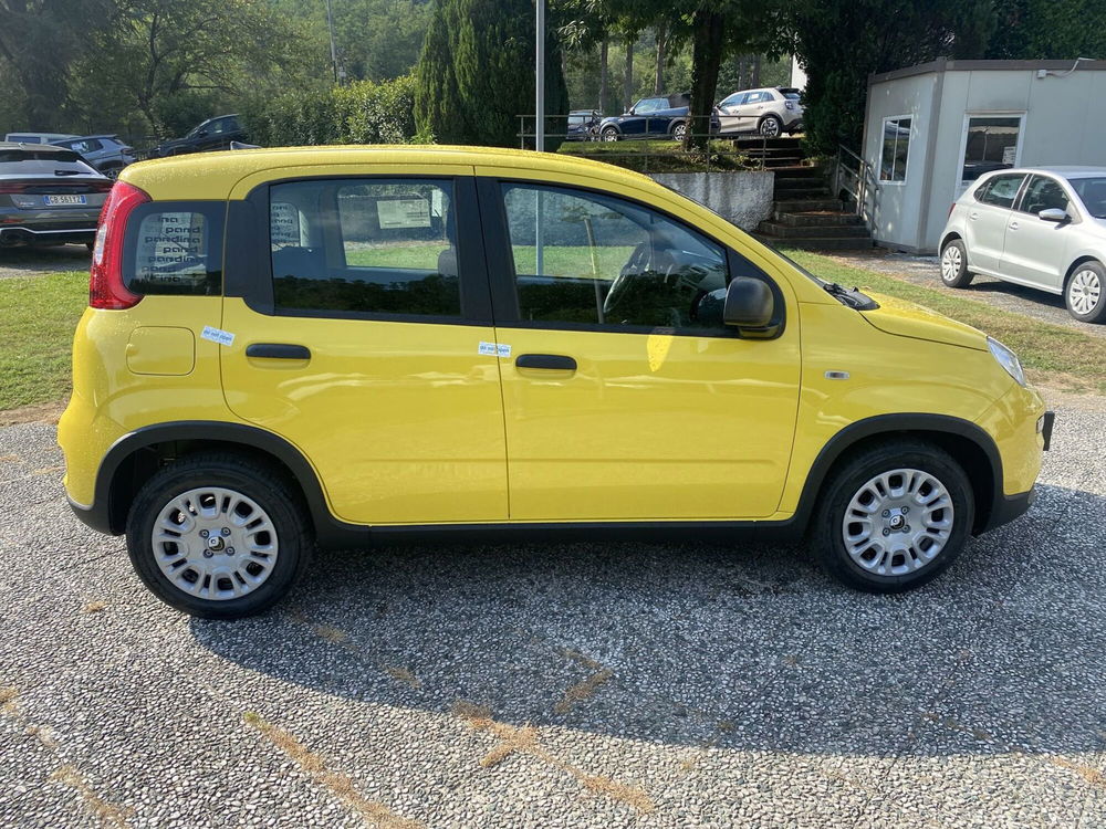 Fiat Panda Cross nuova a La Spezia (4)