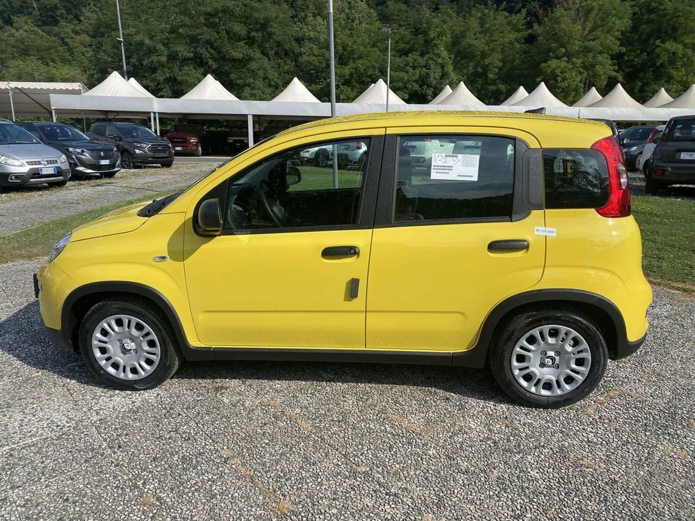 Fiat Panda Cross nuova a La Spezia (8)