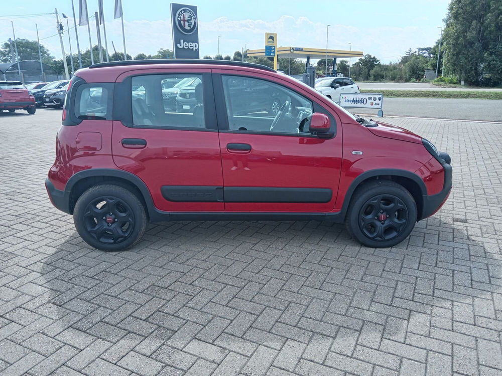 Fiat Panda Cross usata a Alessandria (4)