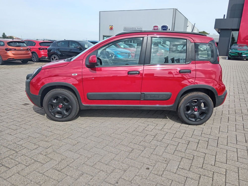 Fiat Panda Cross usata a Alessandria (8)