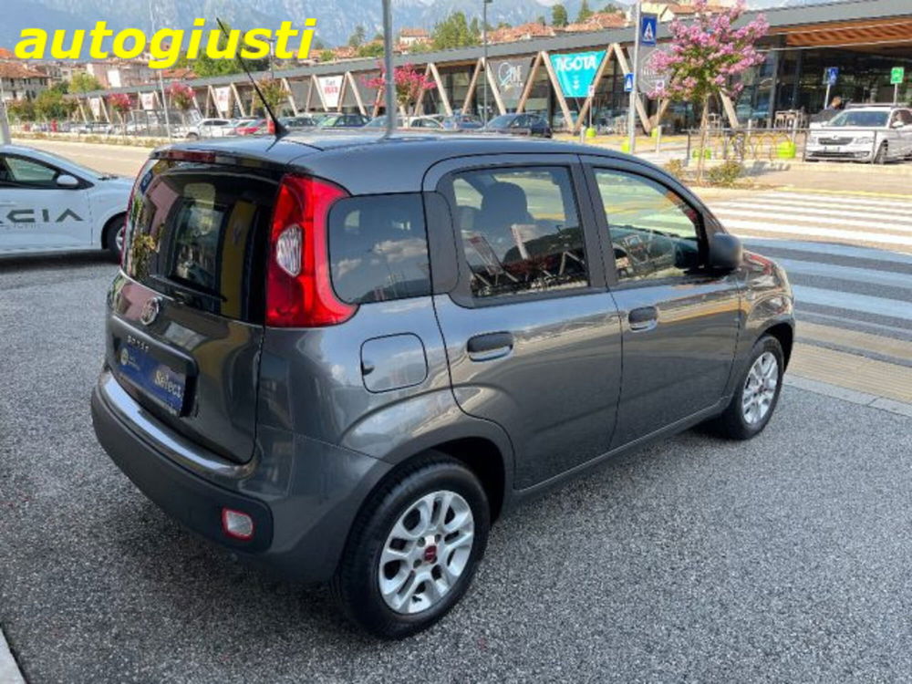 Fiat Panda usata a Belluno (3)