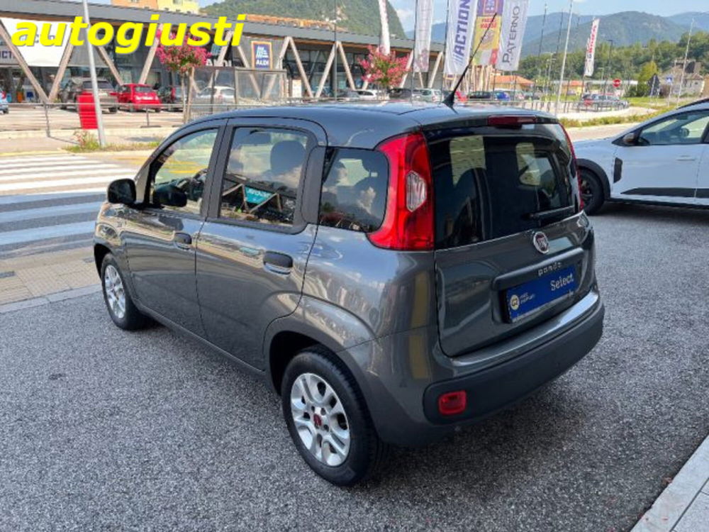 Fiat Panda usata a Belluno (4)