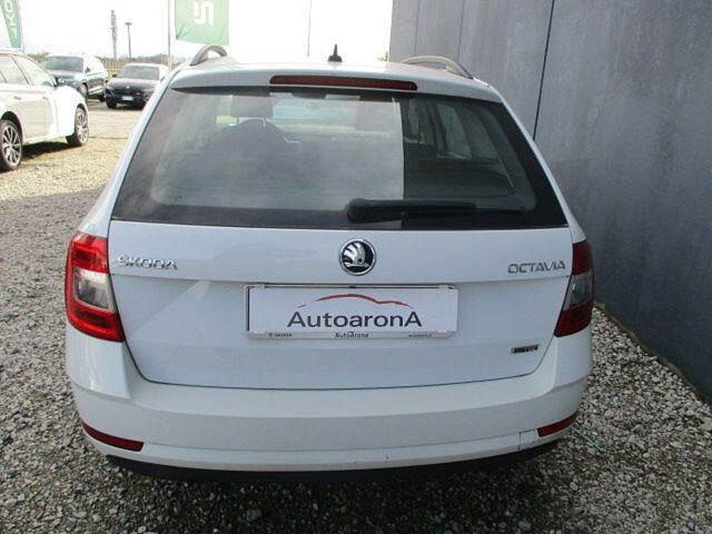 Skoda Octavia usata a Novara (4)