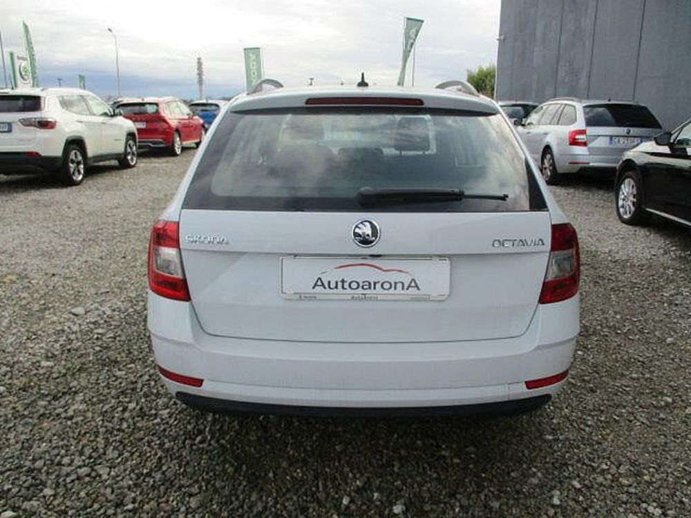 Skoda Octavia usata a Novara