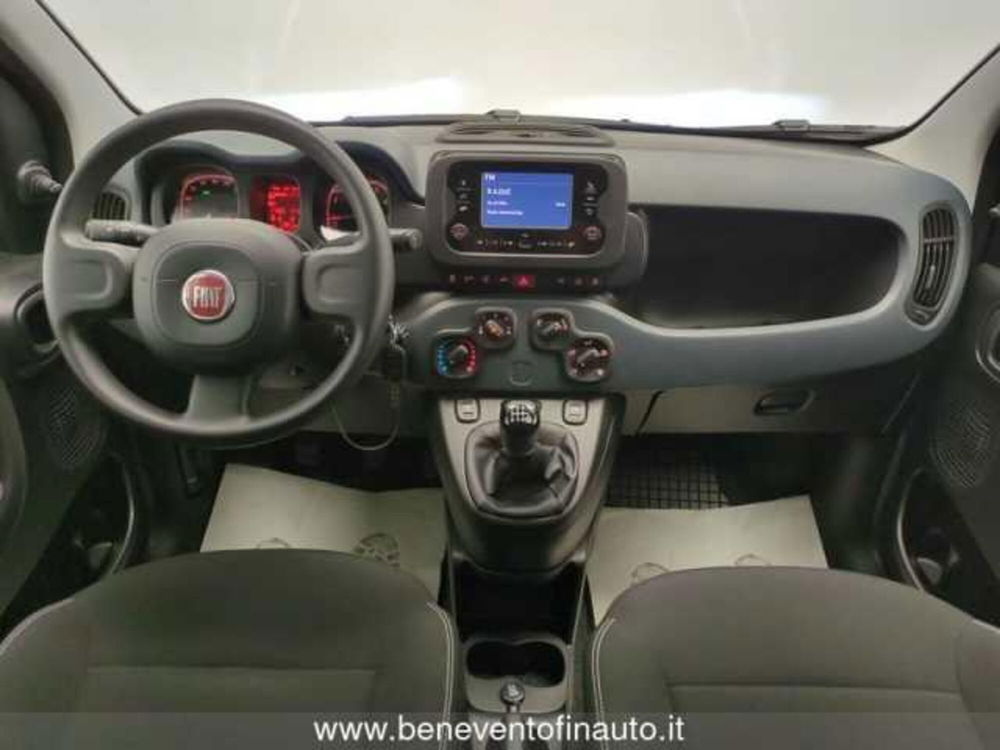 Fiat Panda usata a Avellino (19)