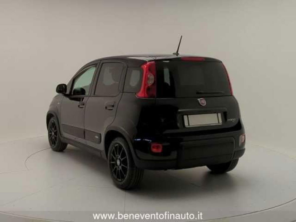 Fiat Panda usata a Avellino (5)