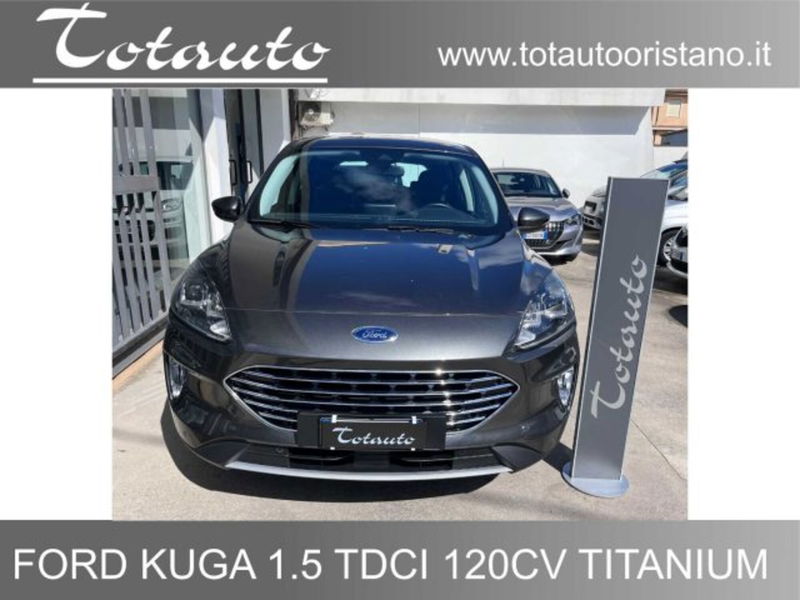 Ford Kuga 1.5 EcoBlue 120 CV 2WD Titanium  del 2020 usata a Ghilarza