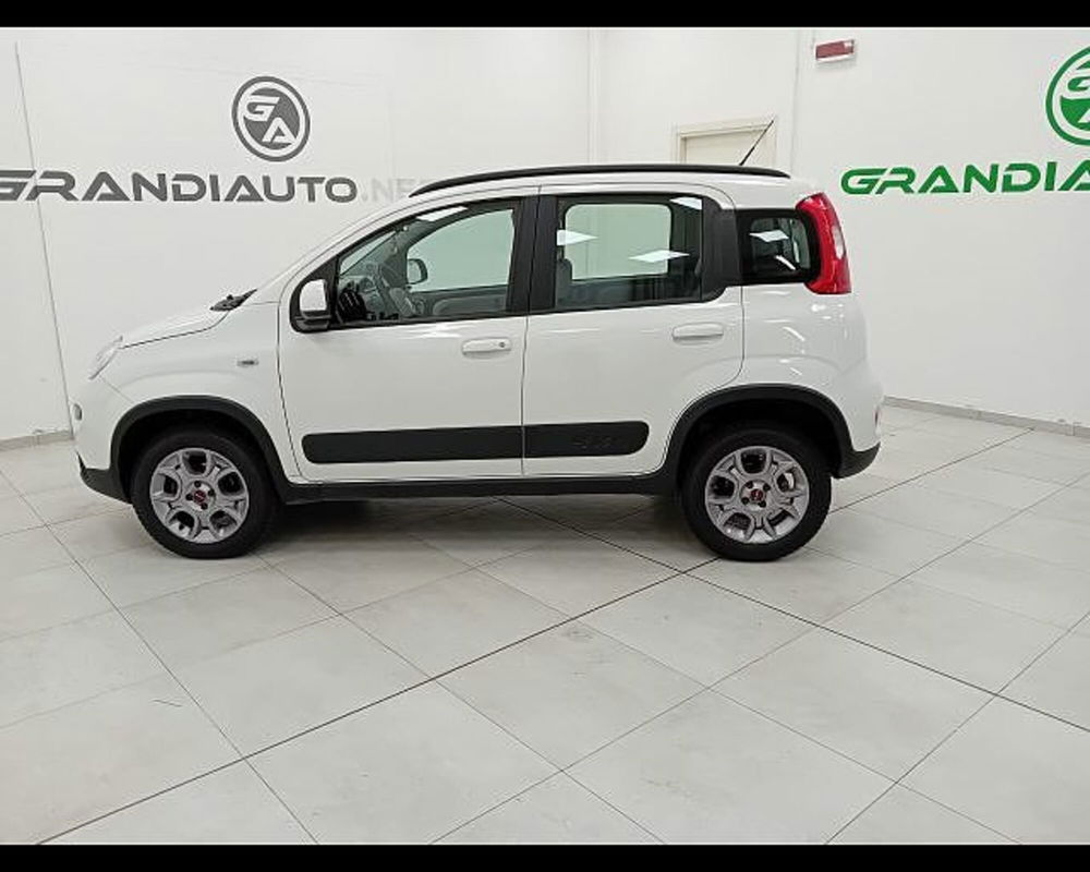 Fiat Panda Cross usata a Alessandria (4)