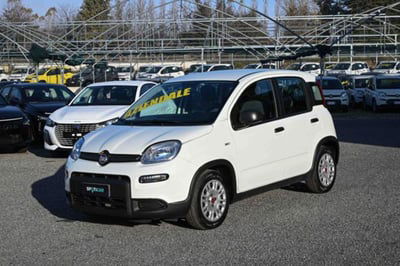 Fiat Panda 1.0 firefly hybrid s&amp;s 70cv 5p.ti del 2023 usata a Pianezza