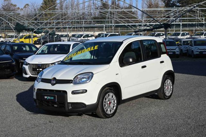 Fiat Panda 1.0 firefly hybrid s&amp;s 70cv 5p.ti del 2023 usata a Pianezza