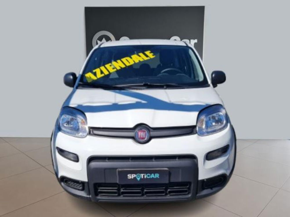 Fiat Panda usata a Torino (18)