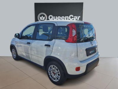 Fiat Panda 1.0 firefly hybrid s&amp;s 70cv 5p.ti del 2023 usata a Pianezza