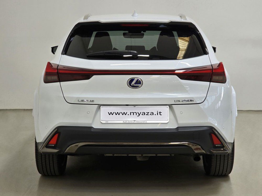 Lexus UX usata a Asti (5)