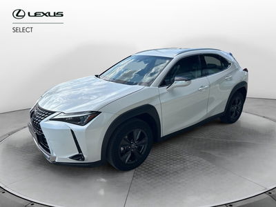 Lexus UX Hybrid Urban del 2023 usata a Siracusa