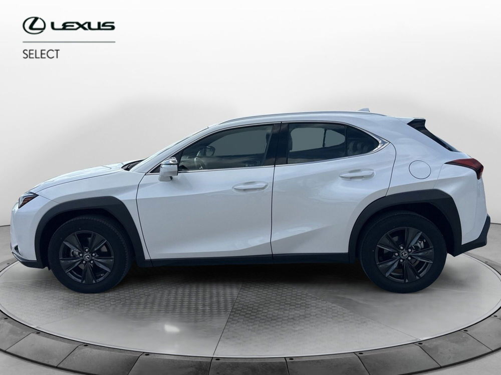 Lexus UX usata a Siracusa (2)