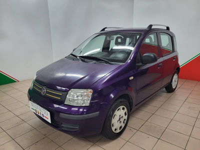 Fiat Panda 1.2 Dynamic GPL del 2011 usata a Terranuova Bracciolini