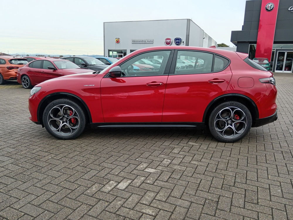 Alfa Romeo Stelvio usata a Alessandria (8)