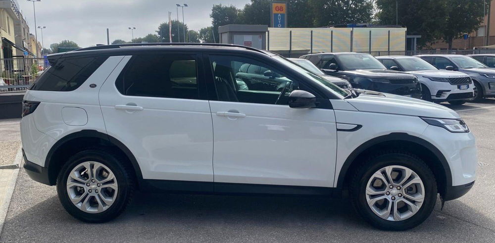 Land Rover Discovery Sport usata a Pisa (6)