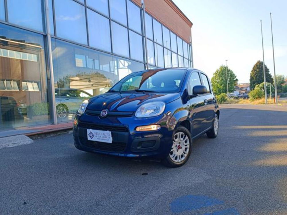 Fiat Panda usata a Pisa