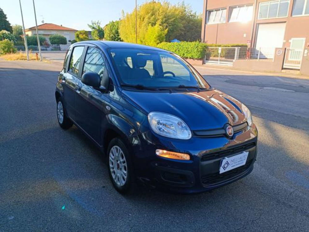 Fiat Panda usata a Pisa (11)