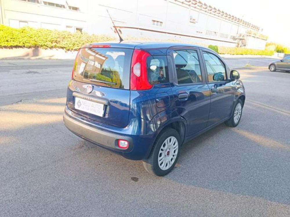 Fiat Panda usata a Pisa (12)