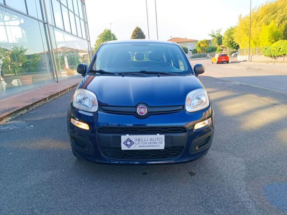 Fiat Panda usata a Pisa (14)