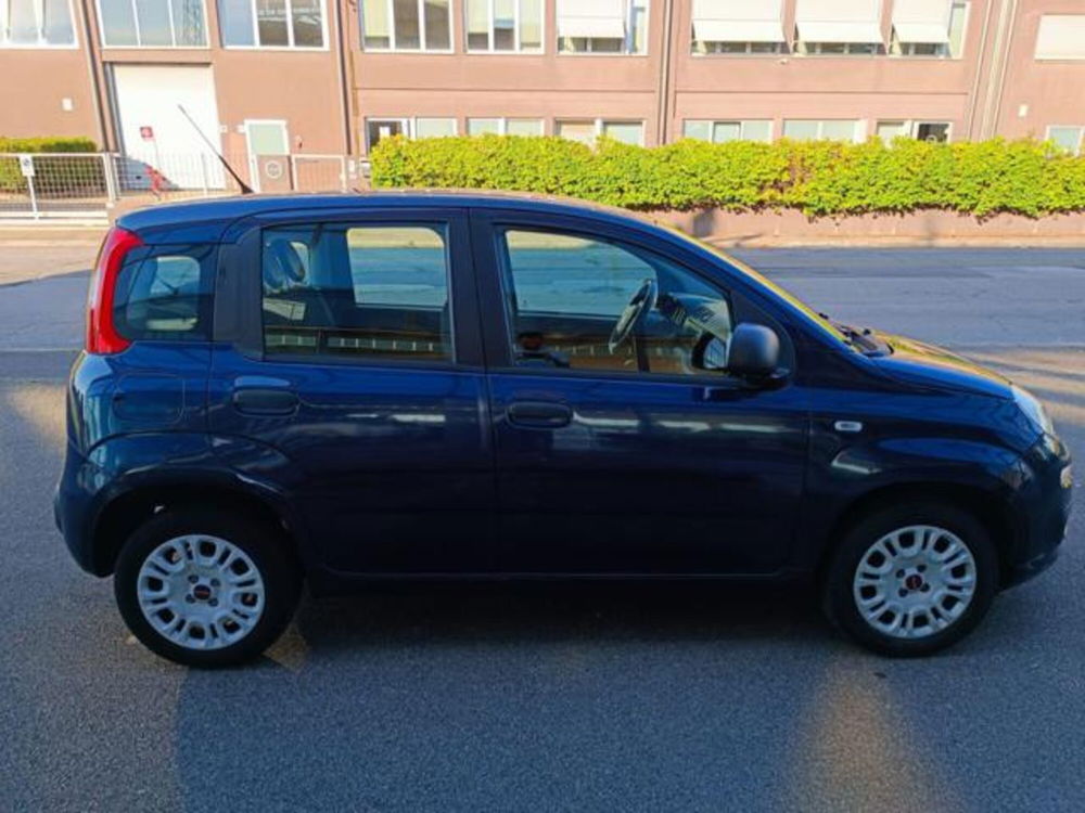 Fiat Panda usata a Pisa (2)