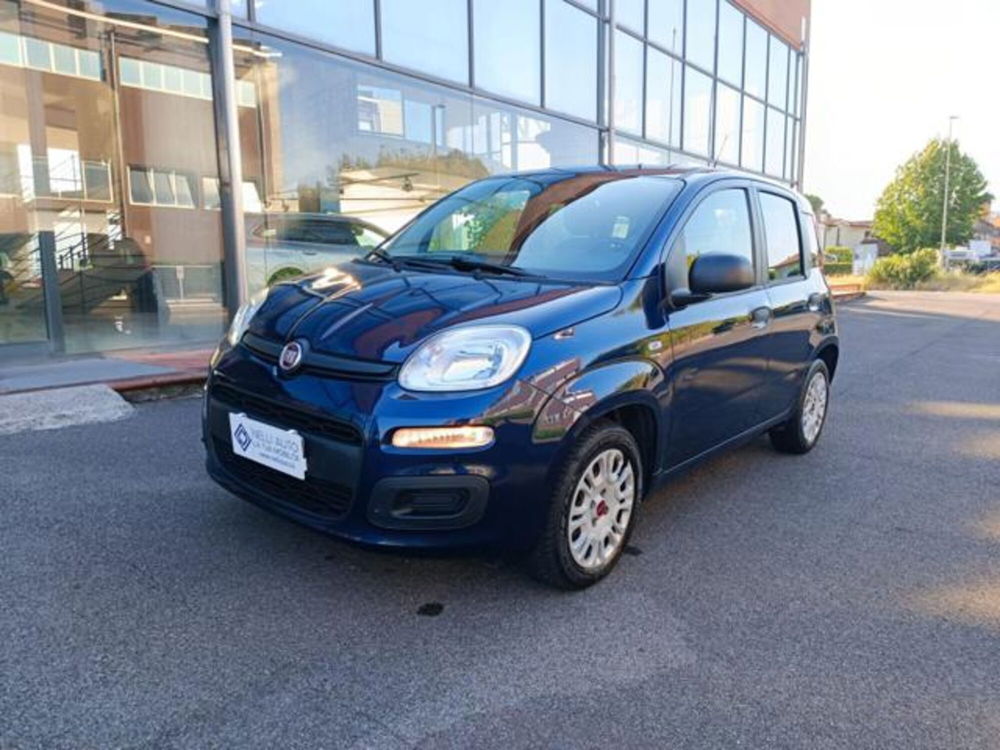 Fiat Panda usata a Pisa (8)