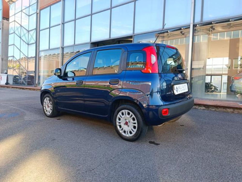 Fiat Panda usata a Pisa (9)