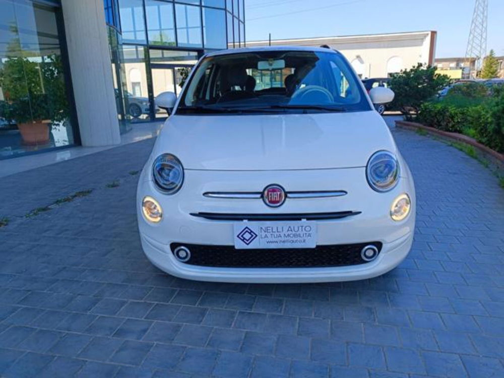 Fiat 500 usata a Pisa (8)