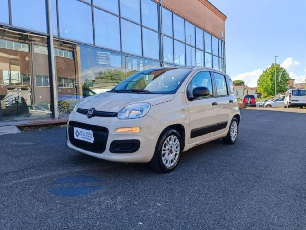 Fiat Panda usata a Pisa (10)