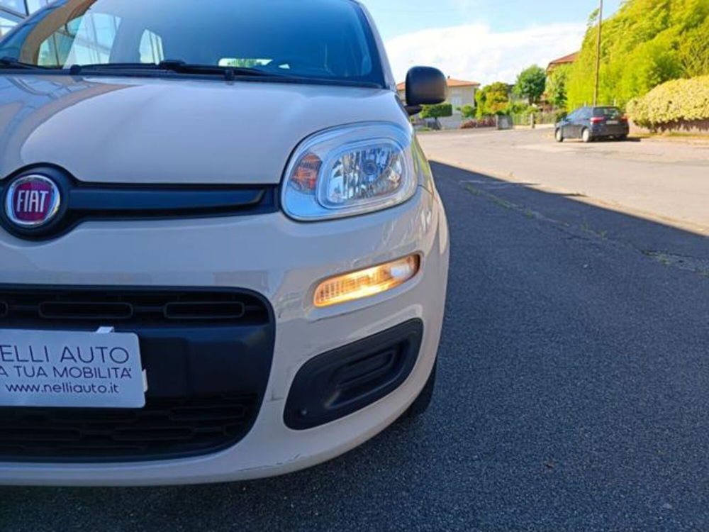 Fiat Panda usata a Pisa (11)