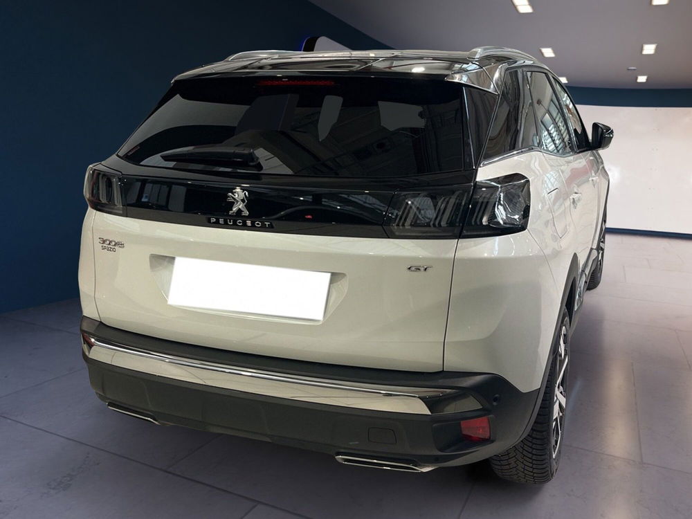 Peugeot 3008 usata a Torino (4)