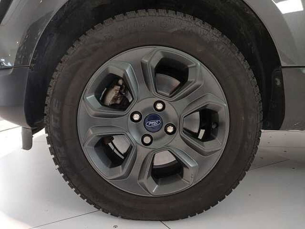 Ford EcoSport usata a Teramo (7)